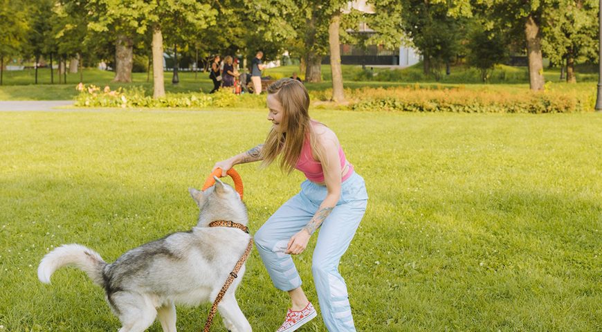 dog-friendly parks around brightwood dc